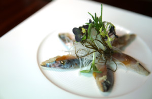 Sashimi von der Makrele
