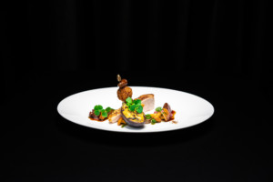 MISO-GEBEIZTES BIO-WILDHUHN