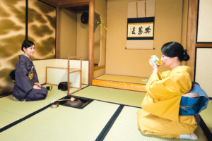 Shiki Matcha Japanese Green Tea